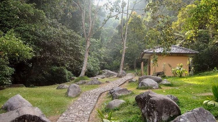 Akomodasi Nyaman di Sekitar Kebun Raya Cibodas