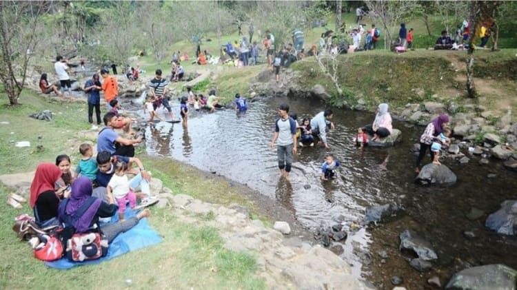 Aktivitas Seru di Kebun Raya Cibodas