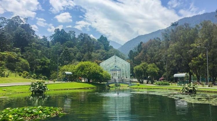 Kebun Raya Cibodas