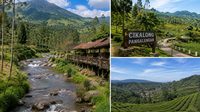 Cikalong Pangalengan