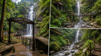 Curug Omas Maribay