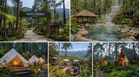 Hejo Forest Ciwidey 202