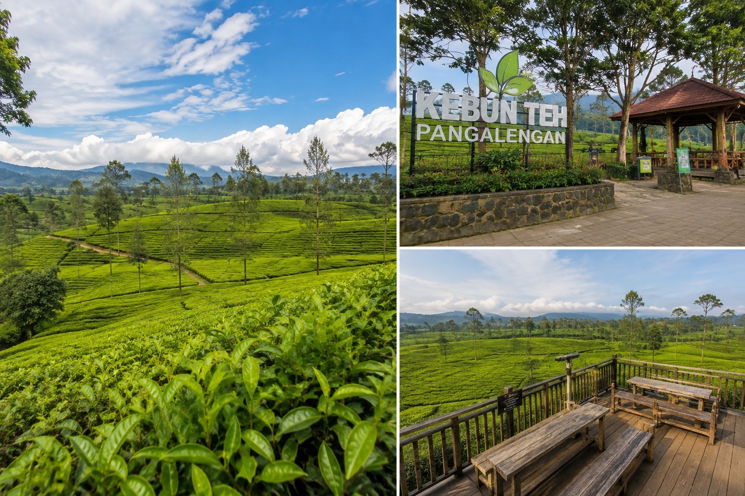 Kebun Teh Pangalengan